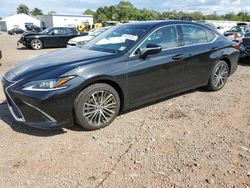 Salvage cars for sale at Hillsborough, NJ auction: 2024 Lexus ES 250 Base