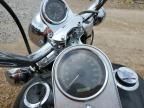 2006 Harley-Davidson Flstfi