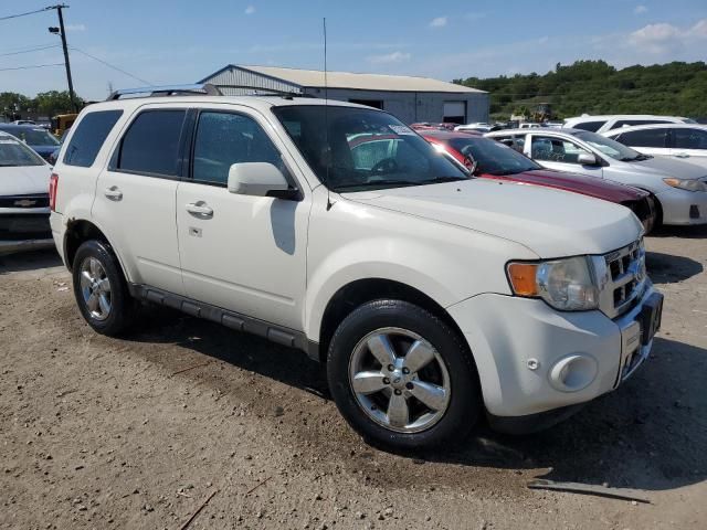 2010 Ford Escape Limited