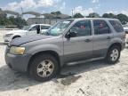 2007 Ford Escape XLT