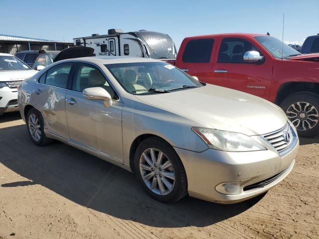 2010 Lexus ES 350