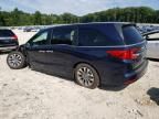 2024 Honda Odyssey EXL