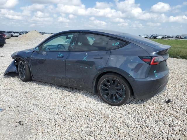 2020 Tesla Model Y