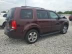 2013 Honda Pilot EXL