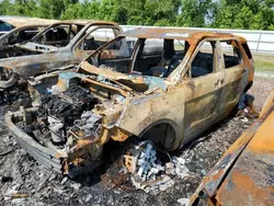 Salvage cars for sale at Houston, TX auction: 2017 Ford Explorer XLT