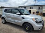 2010 KIA Soul +