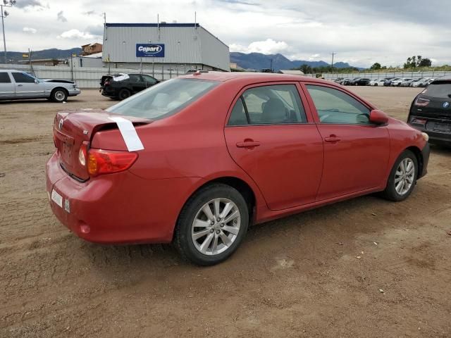 2010 Toyota Corolla Base