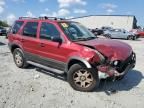 2006 Ford Escape XLT