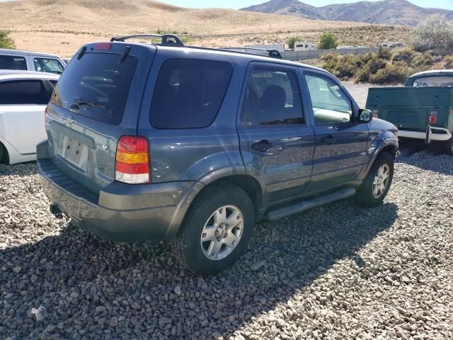 2006 Ford Escape XLT