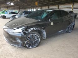 Salvage cars for sale at Phoenix, AZ auction: 2023 Tesla Model Y