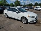 2014 Ford Fusion S Hybrid