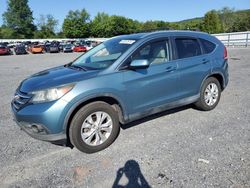 Honda salvage cars for sale: 2014 Honda CR-V EXL