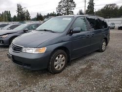 Salvage cars for sale at Graham, WA auction: 2004 Honda Odyssey EXL