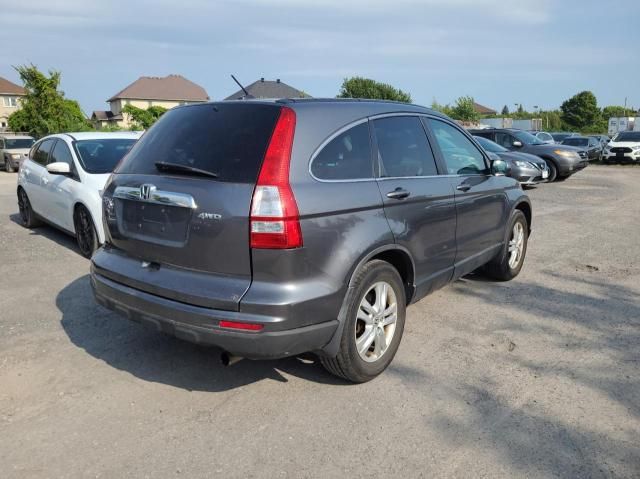 2010 Honda CR-V EXL