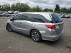 2023 Honda Odyssey EXL