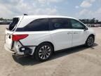 2021 Honda Odyssey EXL