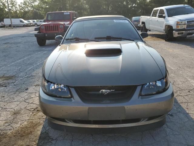 2001 Ford Mustang GT