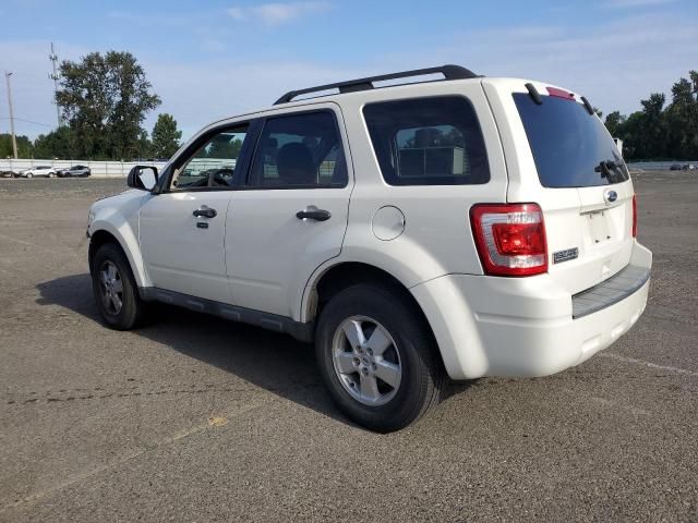 2010 Ford Escape XLT