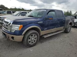 Salvage cars for sale at Duryea, PA auction: 2011 Ford F150 Supercrew