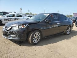 Honda Accord salvage cars for sale: 2014 Honda Accord EXL