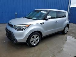 Rental Vehicles for sale at auction: 2014 KIA Soul