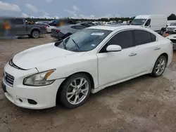 2013 Nissan Maxima S en venta en Houston, TX