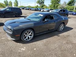 Salvage cars for sale from Copart Montreal Est, QC: 2016 Dodge Challenger SXT