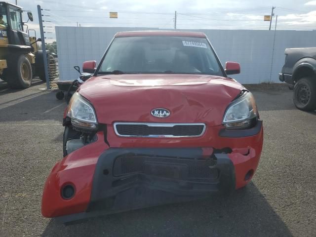 2010 KIA Soul +