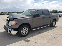 Ford salvage cars for sale: 2013 Ford F150 Supercrew