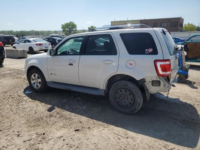 2010 Ford Escape Hybrid