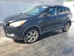 Ford salvage cars for sale: 2013 Ford Escape SEL