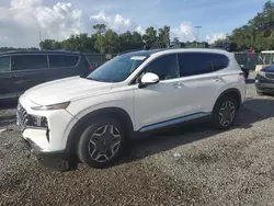 2023 Hyundai Santa FE Limited en venta en Riverview, FL