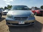 2007 Honda Odyssey EXL