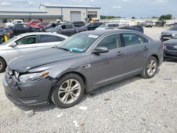 Salvage cars for sale at Earlington, KY auction: 2013 Ford Taurus SEL