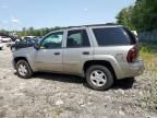 2002 Chevrolet Trailblazer