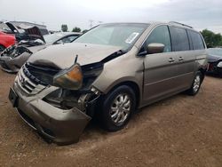 Salvage cars for sale at Elgin, IL auction: 2009 Honda Odyssey EX