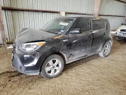 Salvage cars for sale at Houston, TX auction: 2017 KIA Soul