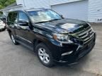 2017 Lexus GX 460