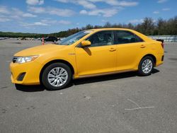 Salvage cars for sale at Brookhaven, NY auction: 2013 Toyota Camry Hybrid