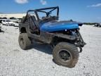 1993 Jeep Wrangler / YJ S