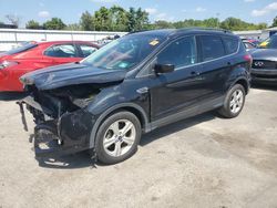 Salvage cars for sale at Glassboro, NJ auction: 2014 Ford Escape SE