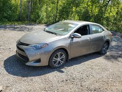 Salvage cars for sale at Cookstown, ON auction: 2019 Toyota Corolla L