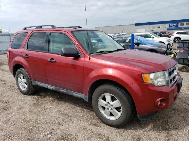 2012 Ford Escape XLT