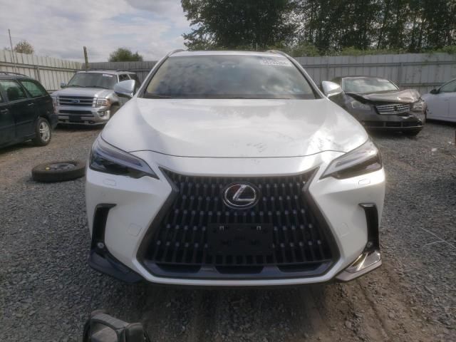 2024 Lexus NX 450H Luxury