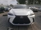 2024 Lexus NX 450H Luxury