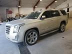 2015 Cadillac Escalade