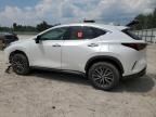 2024 Lexus NX 250 Premium