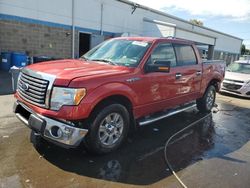 Ford salvage cars for sale: 2010 Ford F150 Supercrew