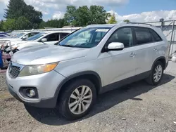 KIA salvage cars for sale: 2011 KIA Sorento EX