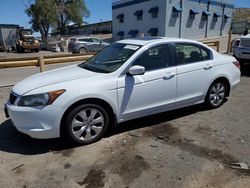 Salvage cars for sale at Albuquerque, NM auction: 2010 Honda Accord EX